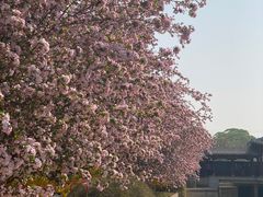 -元大都城垣遗址公园