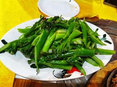 -洞密园美食城(富华路店)