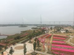 -芒洲湿地公园