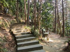 -缙云山景区