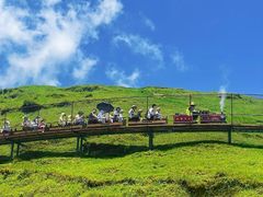 -仰天湖大草原