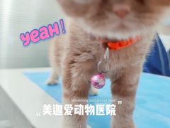 -美迦爱-动物医院·骨科·牙科·夜诊(朝阳路诊疗中心)
