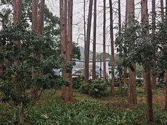 -杭州少年儿童公园