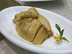 白斩鸡-顺风海鲜港(金玉兰店)