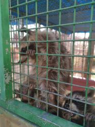 -萌宠亲子动物乐园(槐房万达店)