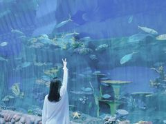 -华夏文旅海洋公园