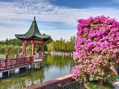 -东莞市可园博物馆