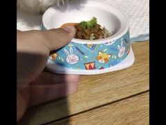 -宠物之家Pets Home 宠物寄养酒店