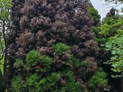 -白塘生态植物园