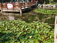 -丰台科技园生态主题公园