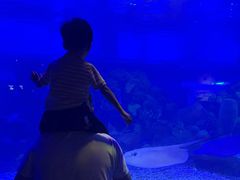 -重庆欢乐海底世界