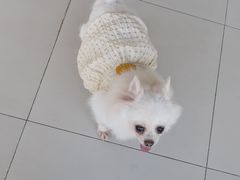 -怪兽屋·羊驼·猫咖·狗咖(俊华广场店)