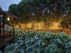 -军山湖云水间生态农业旅游景区