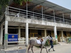 -光明农场大观园
