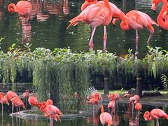 -石家庄市动物园