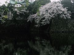 -名古屋城