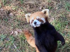 -宁波野生动物园