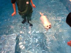 -Goku PET SHOP宠物视觉生活馆(双井店)