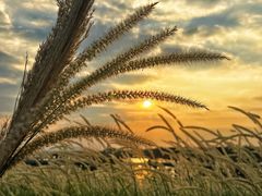 -南沙十九涌渔人码头-南门