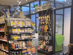 -萌兽医馆·眼科·异宠专科(三里屯店)