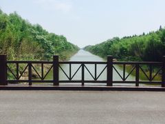 -黄海国家森林公园