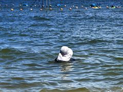 -南戴河国际娱乐中心