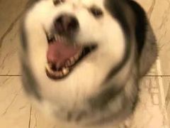 -Kpasta韩式意大利面