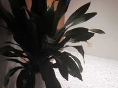-圣和足道·瑶浴SPA·养生茶府(光华店)
