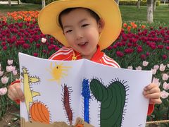 -杨梅红艺术教育(北京金源购物中心校区)