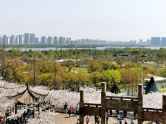 -苏州上方山国家森林公园