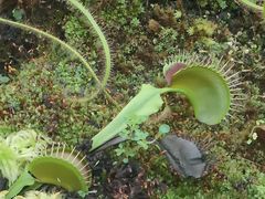 -国家植物园南园