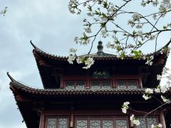 -堤角公园