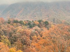 -光雾山旅游景区