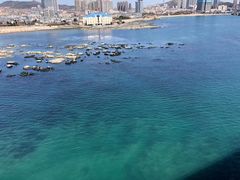-星海湾跨海大桥