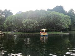 -晓港公园