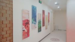 -彼家美创·量肤定制修护管理