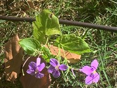 -苏州河梦清园环保主题公园