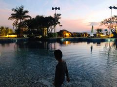 -采粤轩中餐厅(惠州金海湾喜来登度假酒店)