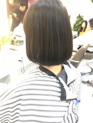 -艺之剪