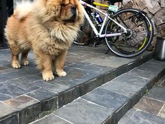 -看见远方·莫干遥远的山民宿