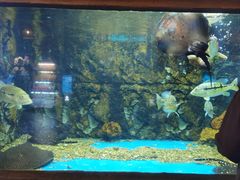 -华夏文旅海洋公园