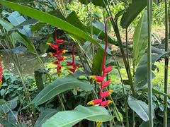 -中国科学院西双版纳热带植物园