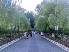 -西湖公园(鼓楼区)