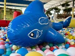 -南宫五洲植物乐园