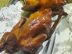 -石岐乳鸽村(南海第三分店)
