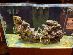 -Zoolung Zoolung动物主题公园(海信广场店)