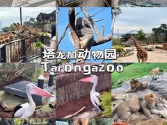 -悉尼歌剧院