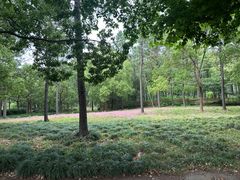 -东方绿舟景区