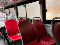 -BUS TOUR观光巴士