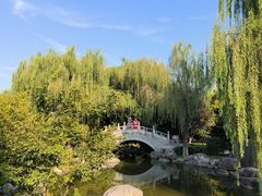 -西安乐游原
